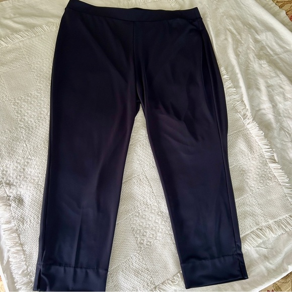 Talbots Pull On Pants Indigo Blue Matte Jersey Stretch Plus size 2X Petite - Picture 14 of 16
